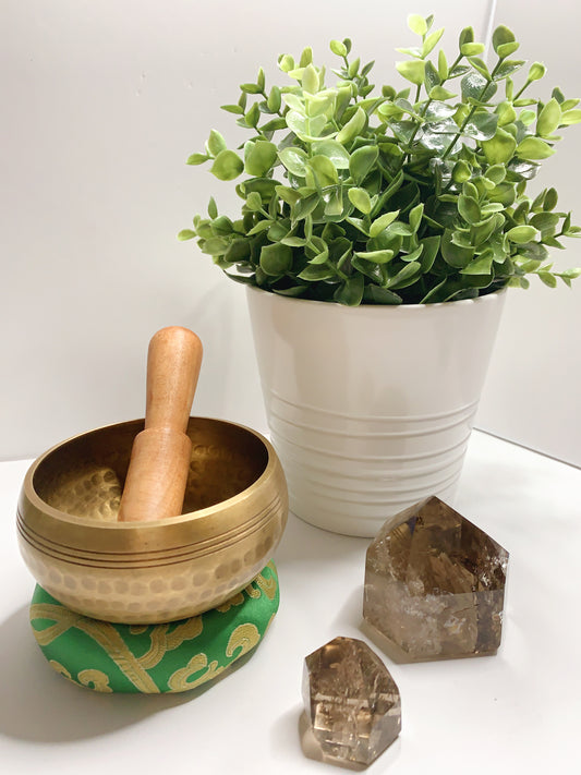 TIBETAN MEDITATION SINGING BOWL W/GREEN CUSHION