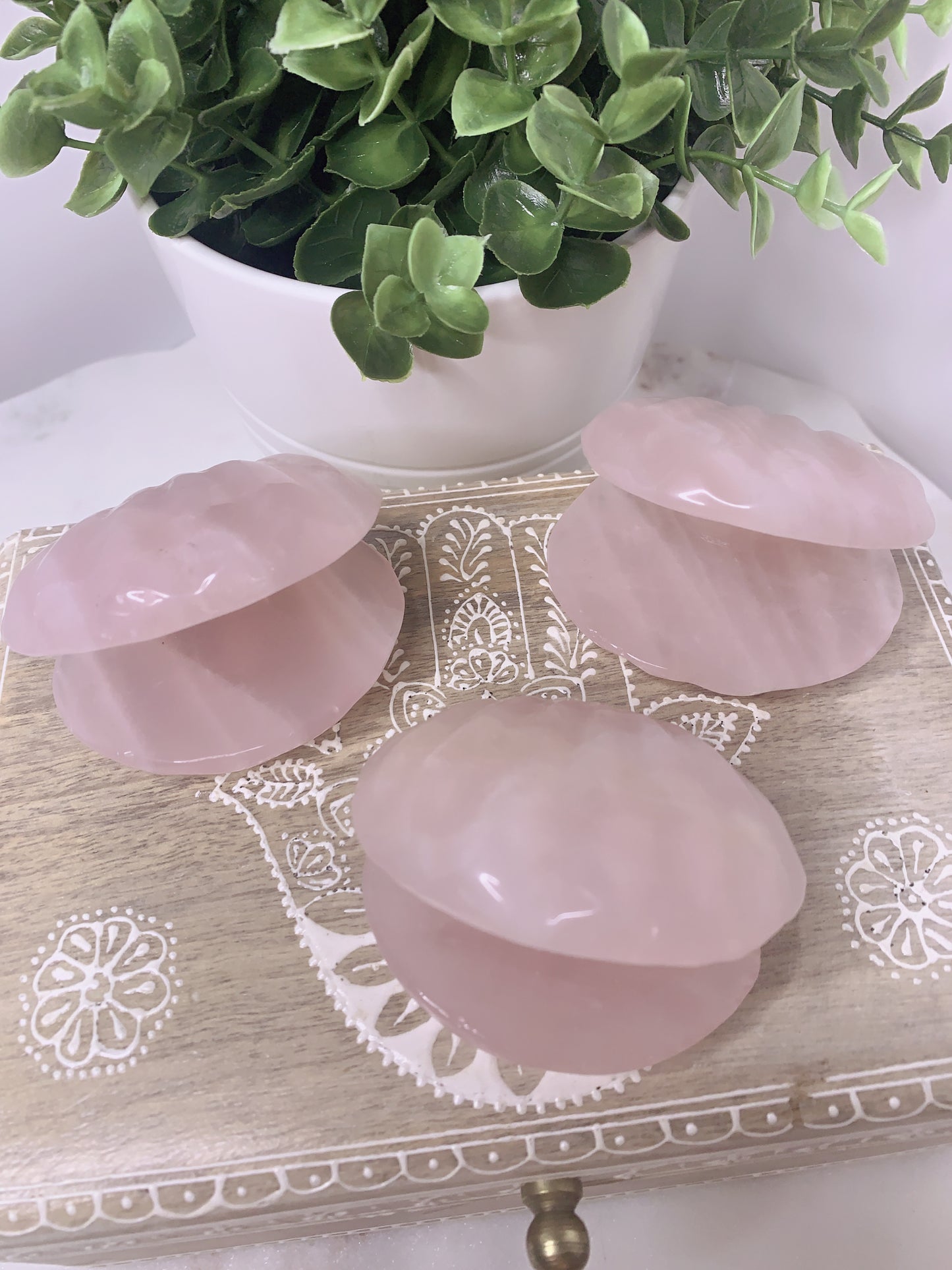 ROSE QUARTZ CLAM SHELL